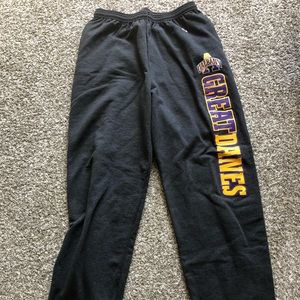 UAlbany sweatpants